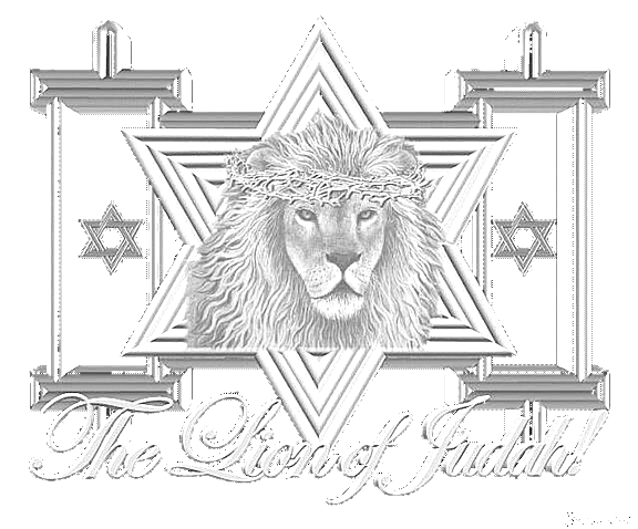 sheild of David 